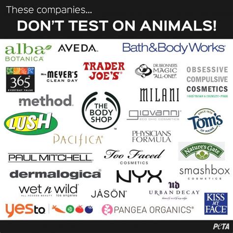 ysl is cruelty free|brands that support animal testing.